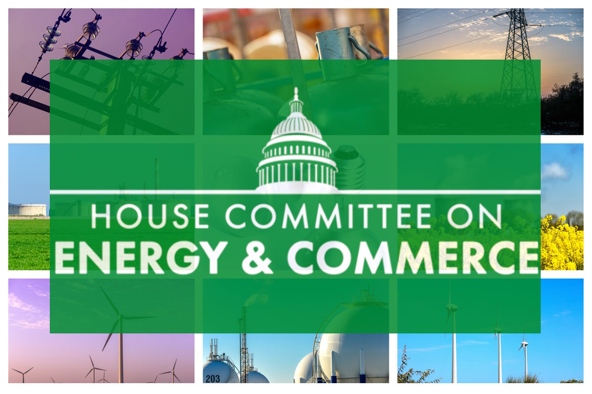 Energy Committee examines expertise of sector specific agencies over critical infrastructure protection